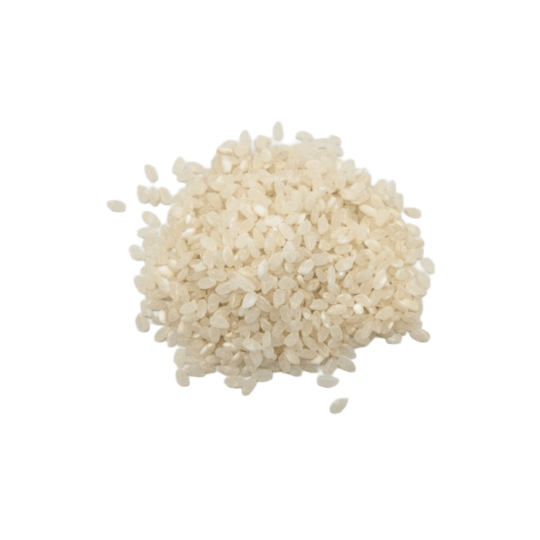 Riz rond blanc